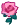 pink rose.png