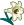 white lily.png