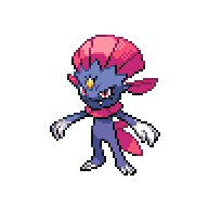 JustAWeavile