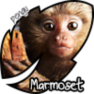 Marmoset