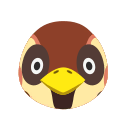 sparro