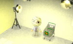 Shopping cart.jpg