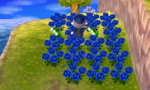 BLUEFLOWERS.JPG