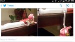 BURN YOSHI.jpg