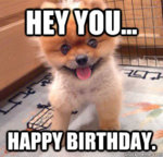 Happy-Birthday-Animal-Meme-6.jpg