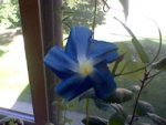 HNI_0100.JPG
