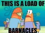 barnacles.jpg