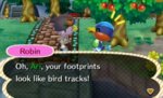 Bird tracks.jpg