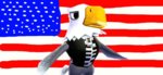 American Flag Behind Apollo.jpg