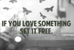 if_you_love_something_set_it_free-303329.jpg
