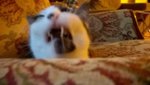 WP_20160715_001.jpg