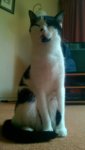 WP_20160721_004.jpg