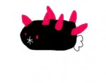pyukumuku.jpg