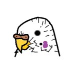 birb.jpg