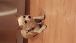 20160710_185833.jpg