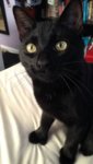 20160207_234116000_iOS.jpg