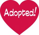 adopted.jpg