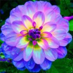 96b768622d822b4f1aaebde13a6ab5c7.jpg