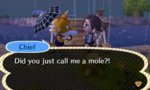 acnl day 15.1.jpg