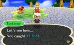 11fish.jpg
