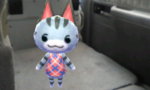 HNI_0050.JPG HNI_0050.JPG