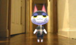 HNI_0060.JPG HNI_0060.JPG
