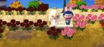 acnlbench.jpg