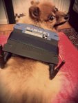 Boy- Network Ready _20130905021008447.jpg