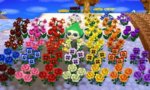 All_Flowers.JPG