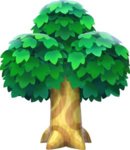 Tree_NL (1).jpg