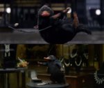 niffler.jpg