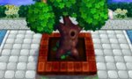 Tree.jpg
