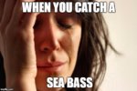 1hbfiw.jpg