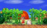 campsite.jpg