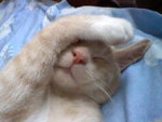 HNI_0002.JPG