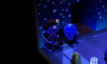 HNI_0077.JPG