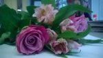 WP_20160913_09_40_04_Pro.jpg