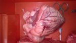 WP_20161130_10_05_22_Pro.jpg