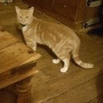 IMG_20170128_010342.jpg