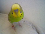 HNI_0007.JPG