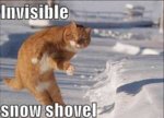 Snow-Shovel.jpg