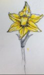 20170303_183007.jpg