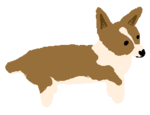 corgi.png