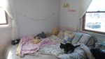 20170320_125500.jpg