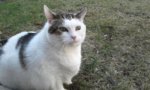 20170324_161203.jpg
