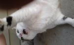 20170324_161924.jpg