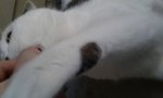 20170324_162118.jpg
