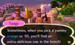 tangy 1.jpg