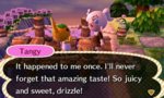 tangy 3.jpg