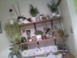 Snapshot8.jpg